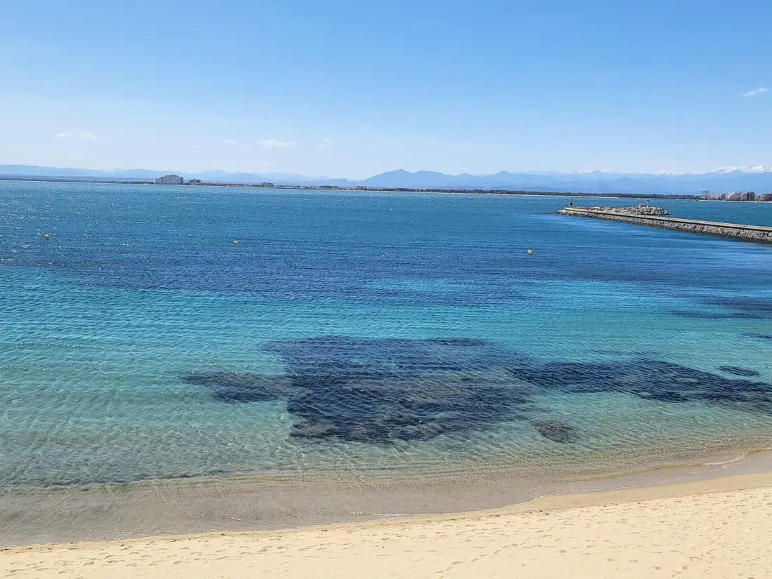 Location de Vacances Roses 1048