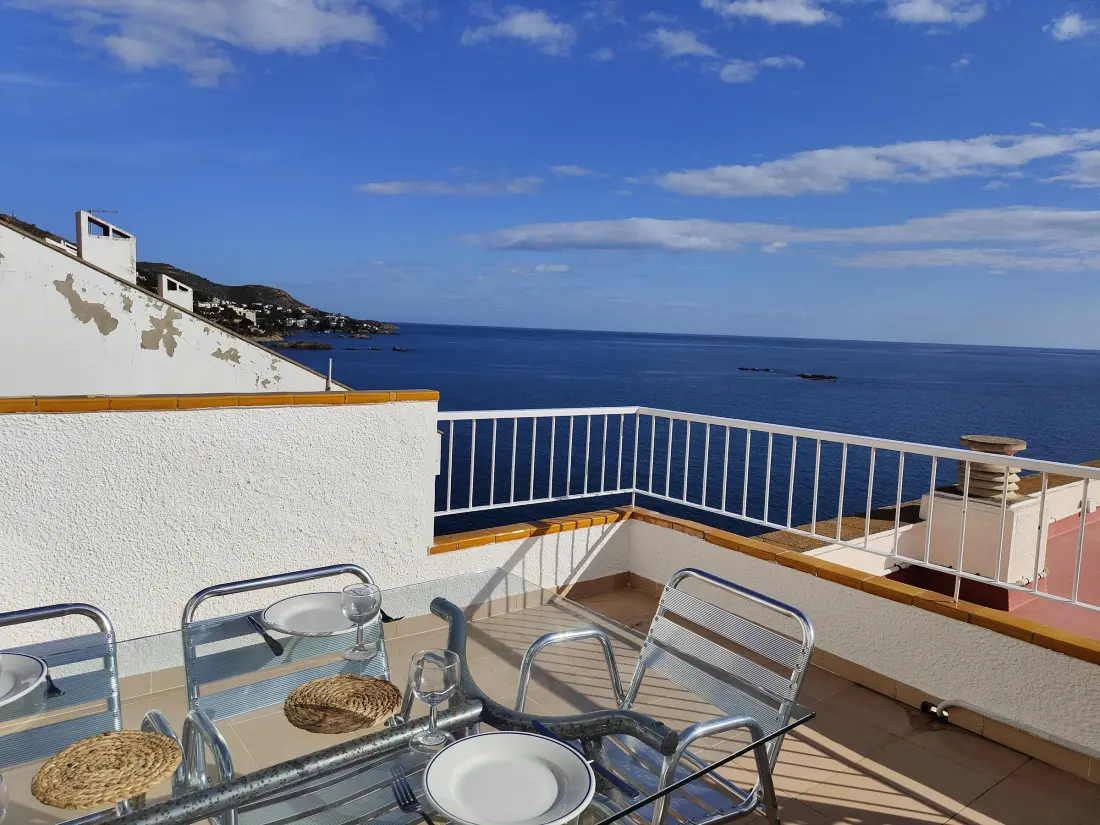 Location de Vacances Roses 1048