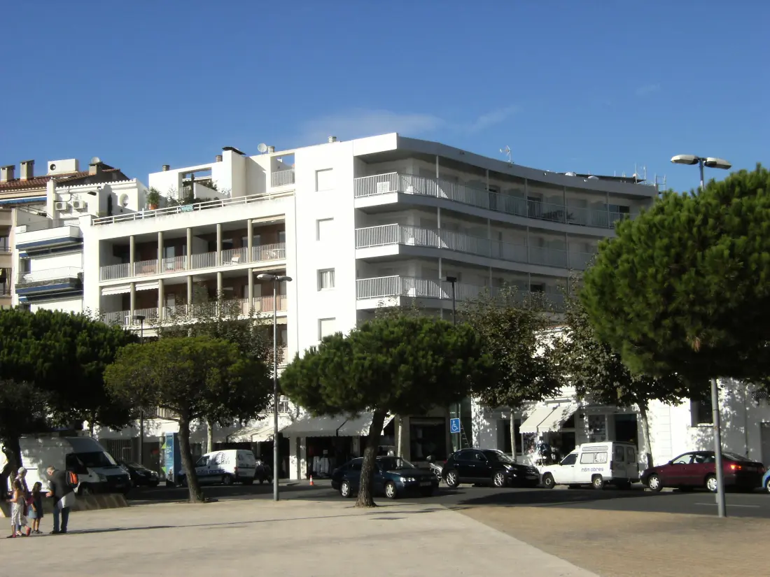 Location de Vacances Roses 1058