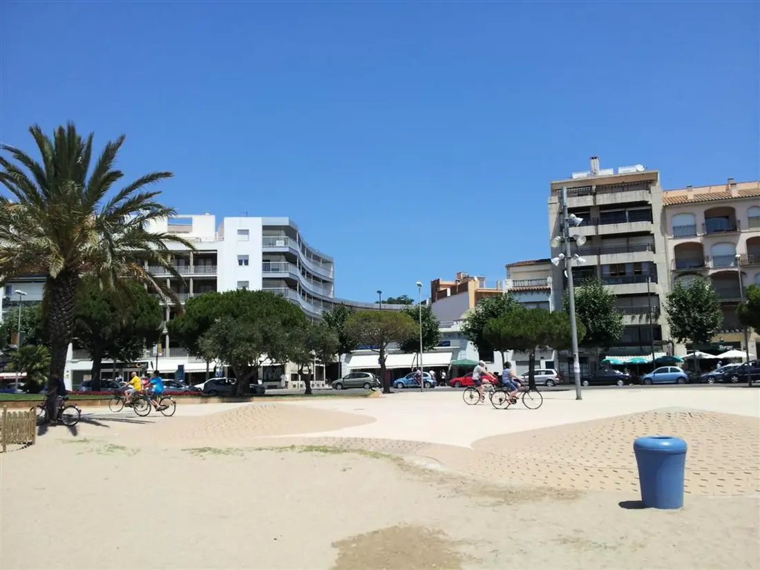 Location de Vacances Roses 1058