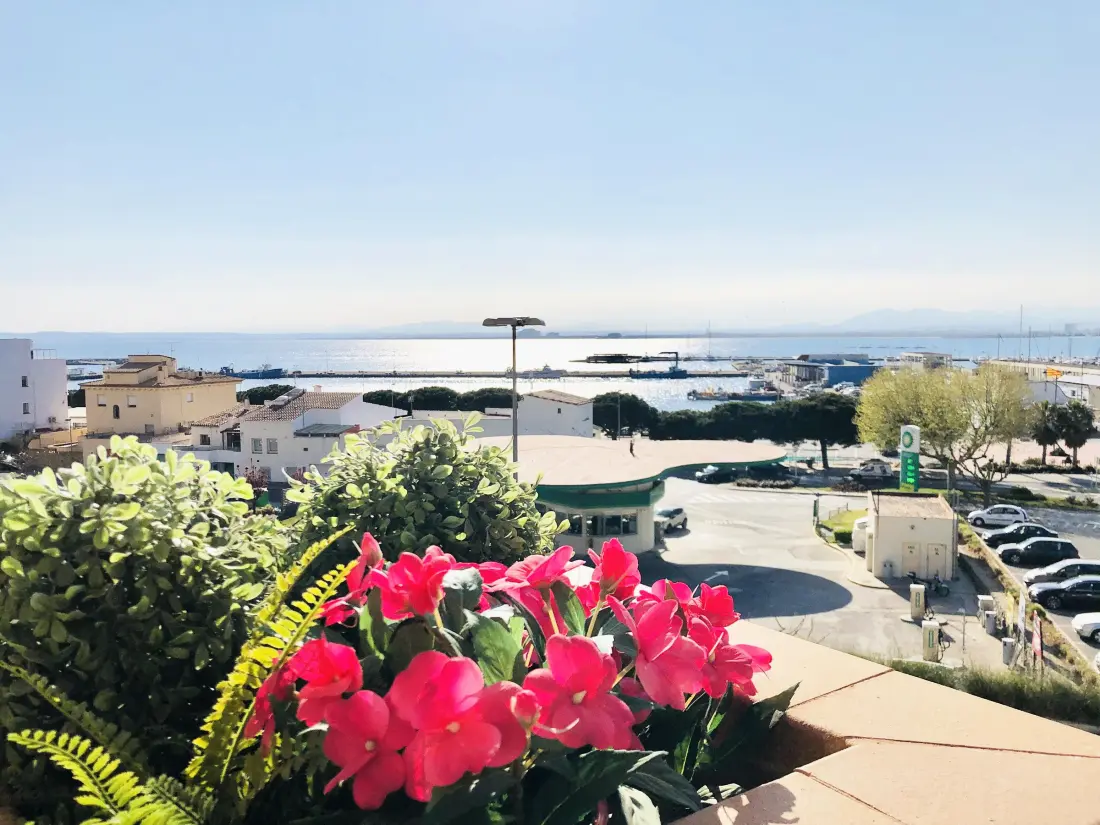 Location de Vacances Roses 1059