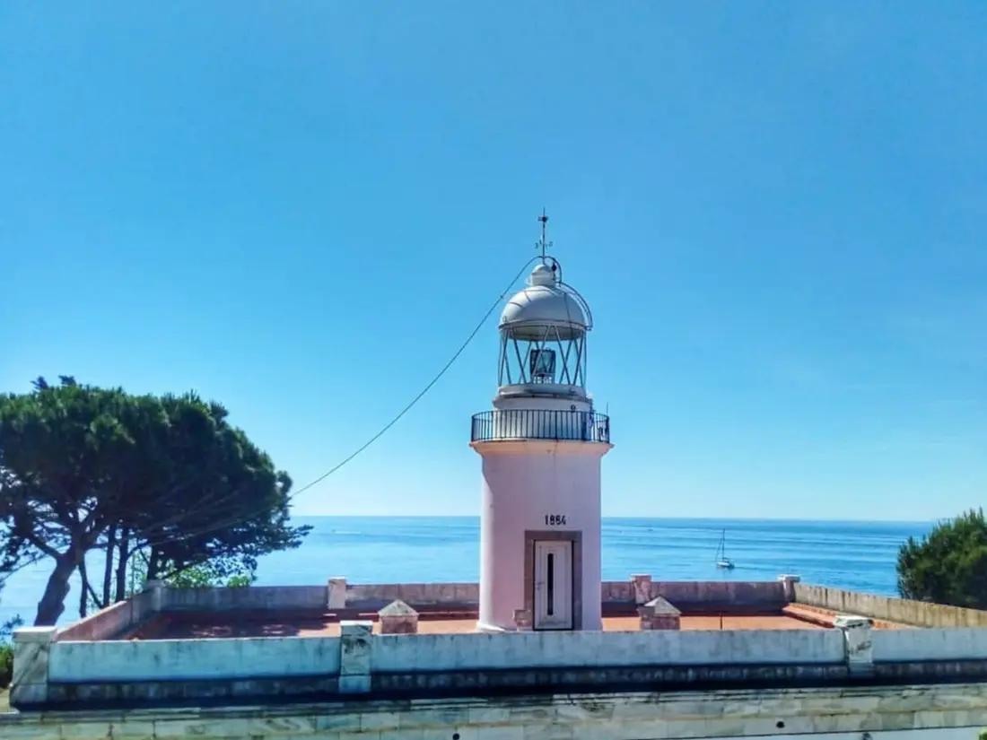 Location de Vacances Roses 1059