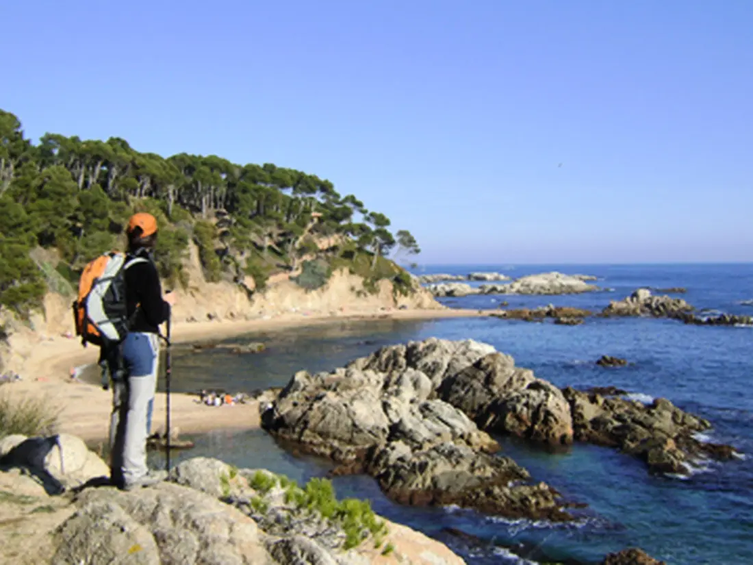 Location de Vacances Roses 1059