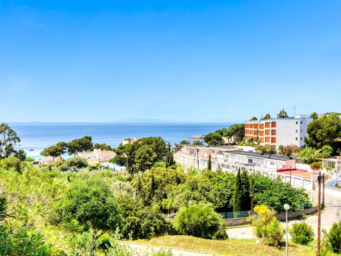 Location de Vacances Roses 1080