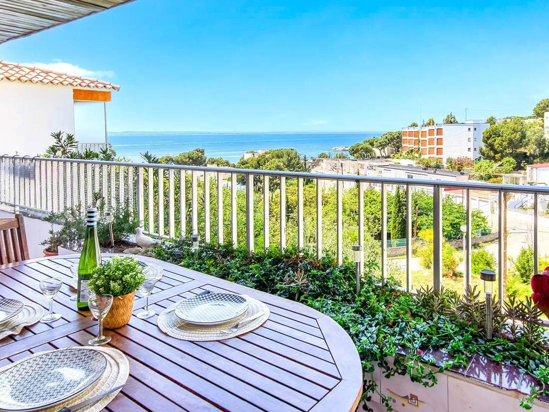 Location de Vacances Roses 1080