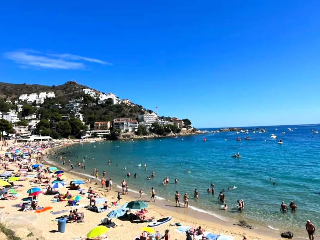 Location de Vacances Roses 1083