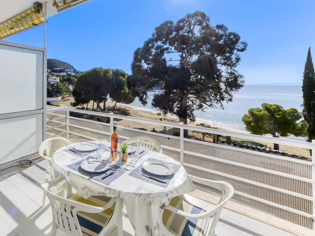 Location de Vacances Roses 1083