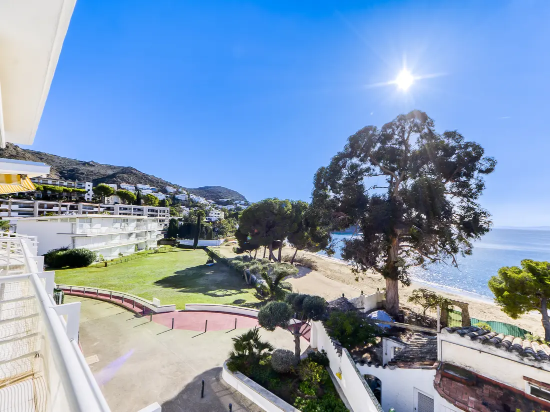 Location de Vacances Roses 1083