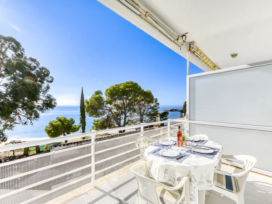 Location de Vacances Roses 1083