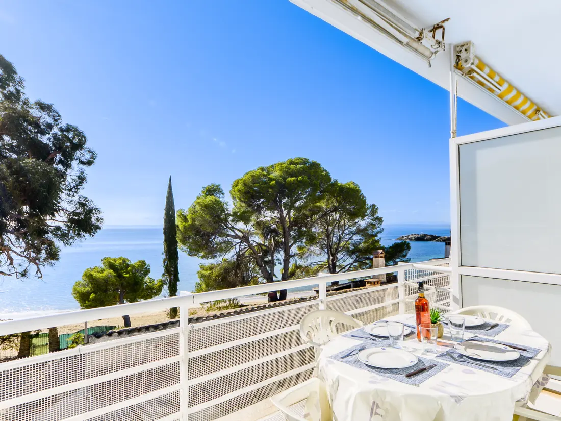 Location de Vacances Roses 1083
