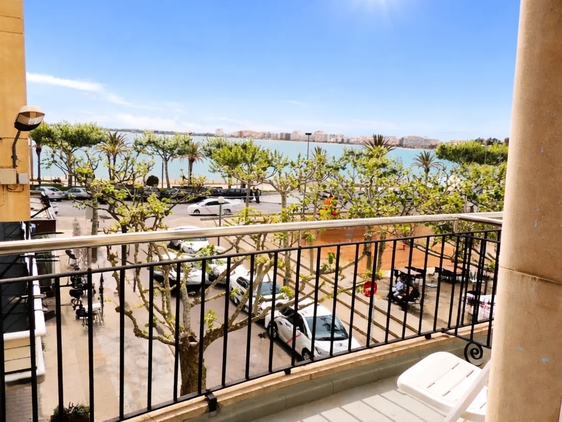 Location de Vacances Roses 1086