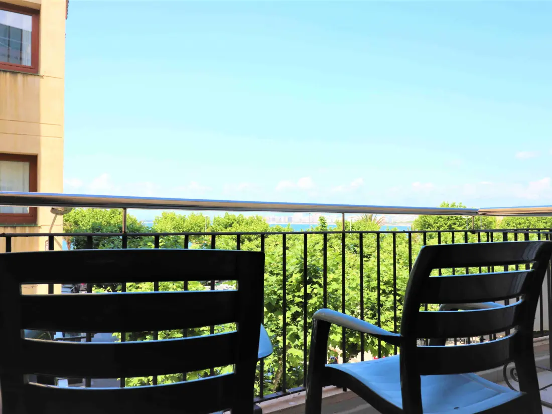 Location de Vacances Roses 1086