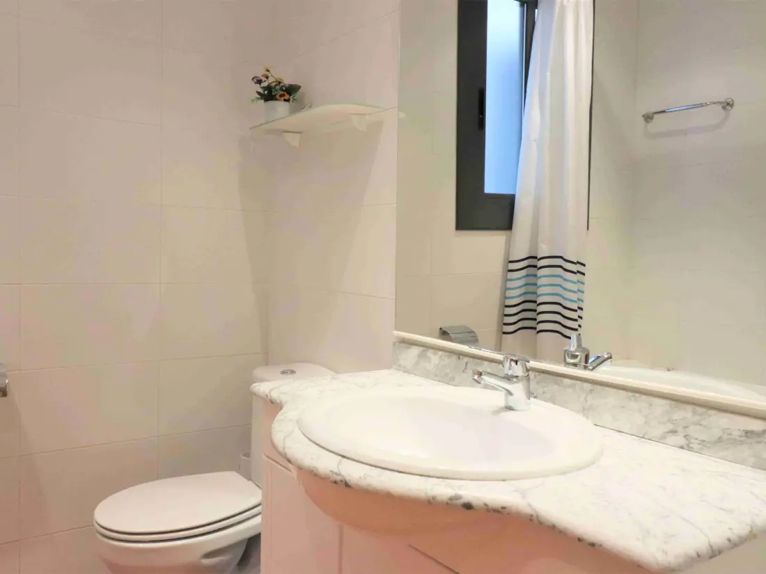 Location de Vacances Roses 1086
