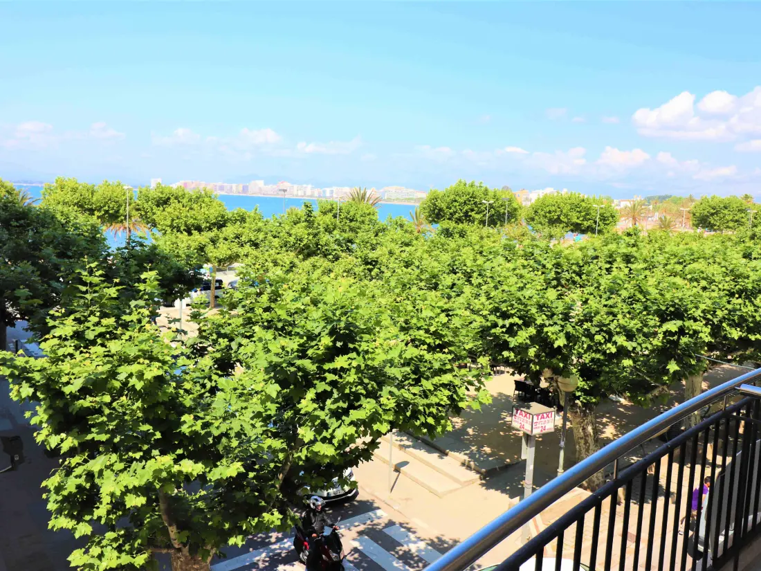 Location de Vacances Roses 1086