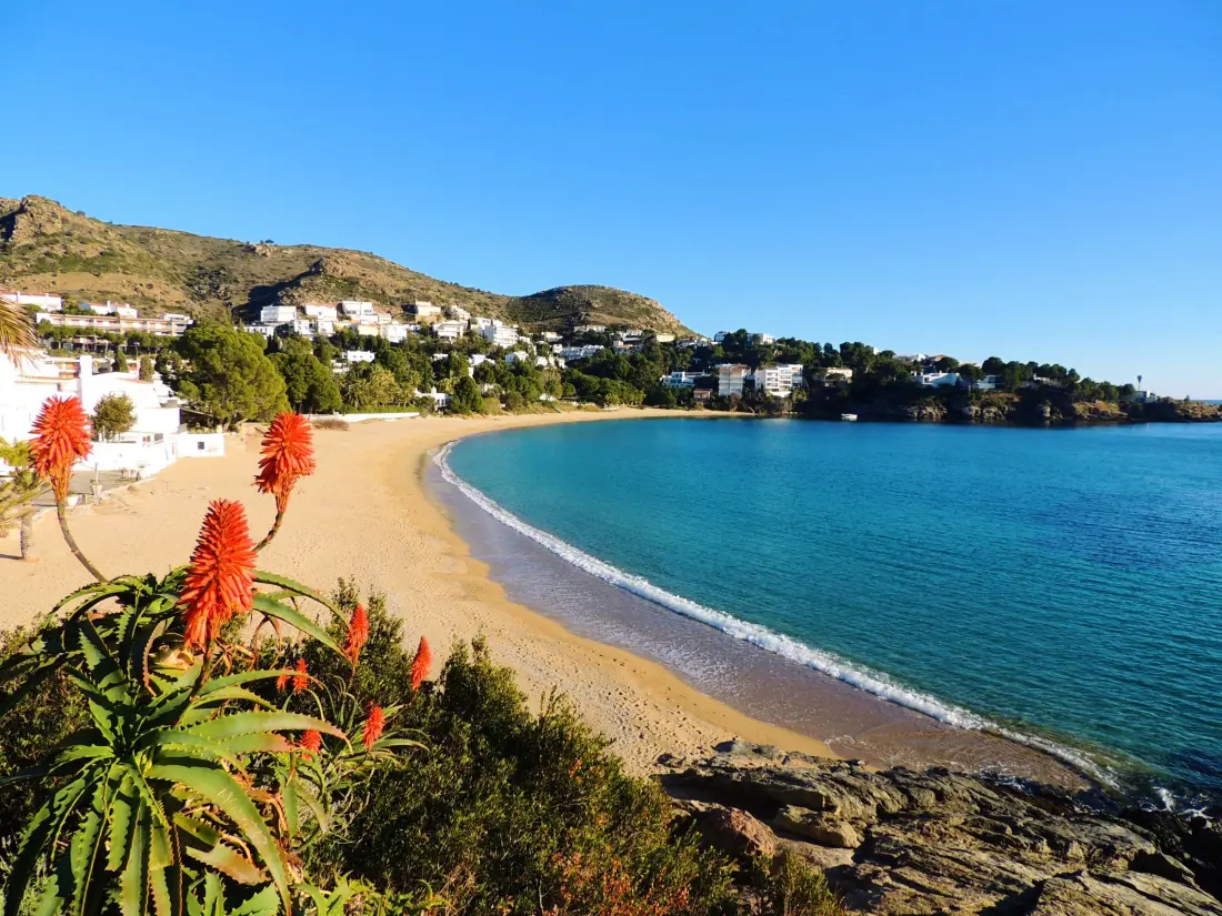 Location de Vacances Roses 1086