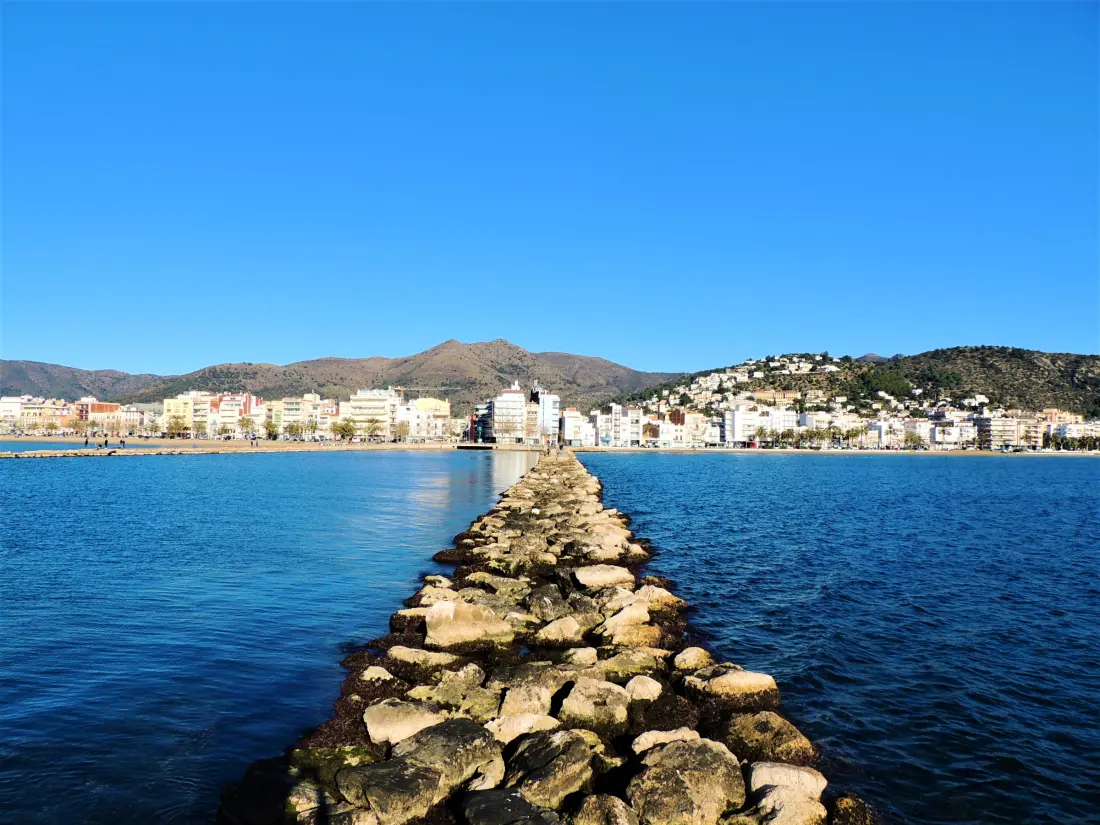 Location de Vacances Roses 1086