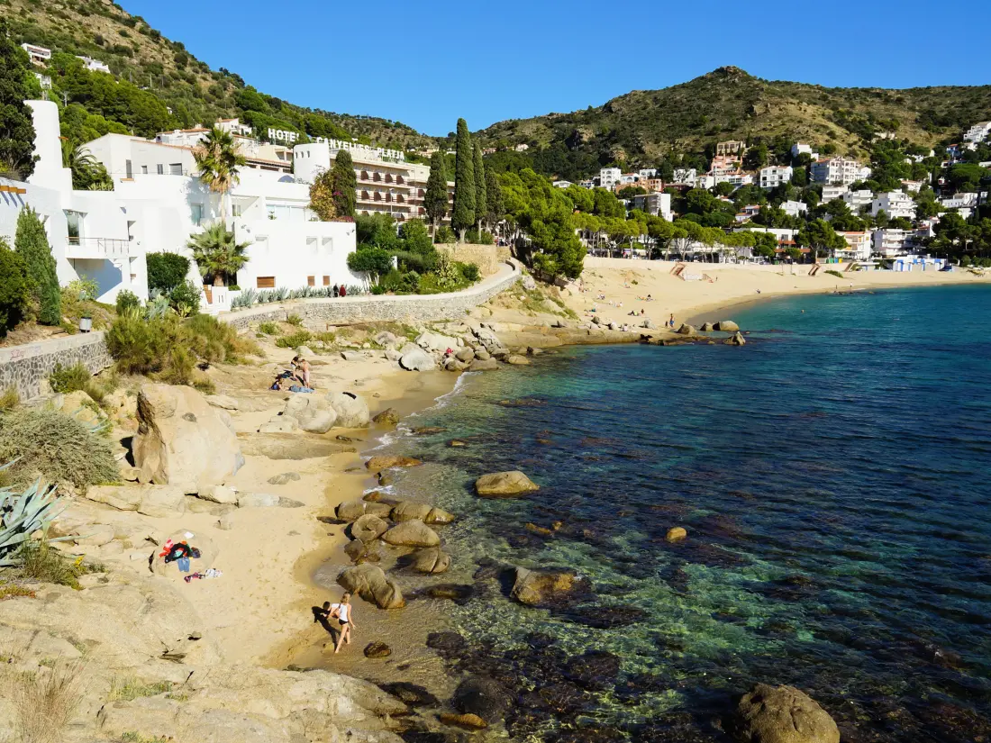 Location de Vacances Roses 1086