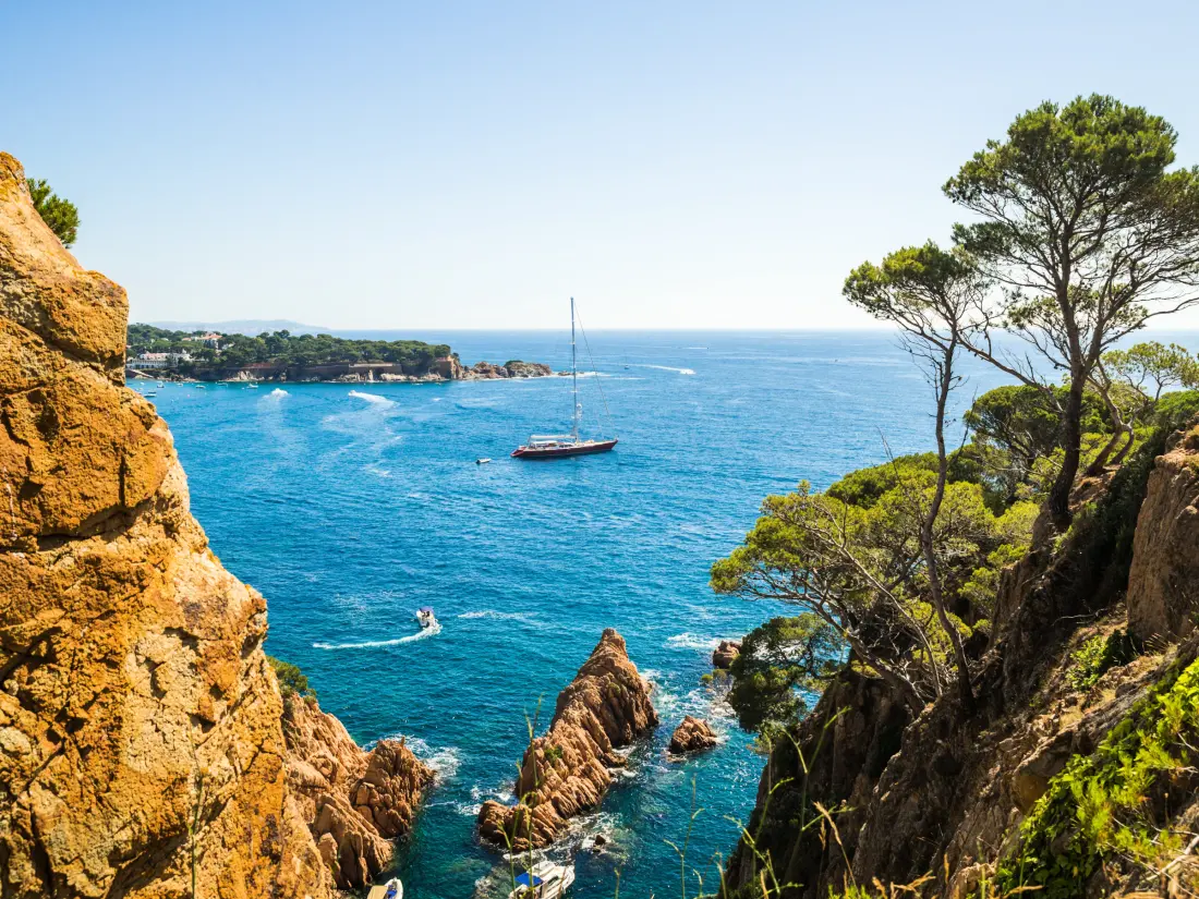 Location de Vacances Roses 1086