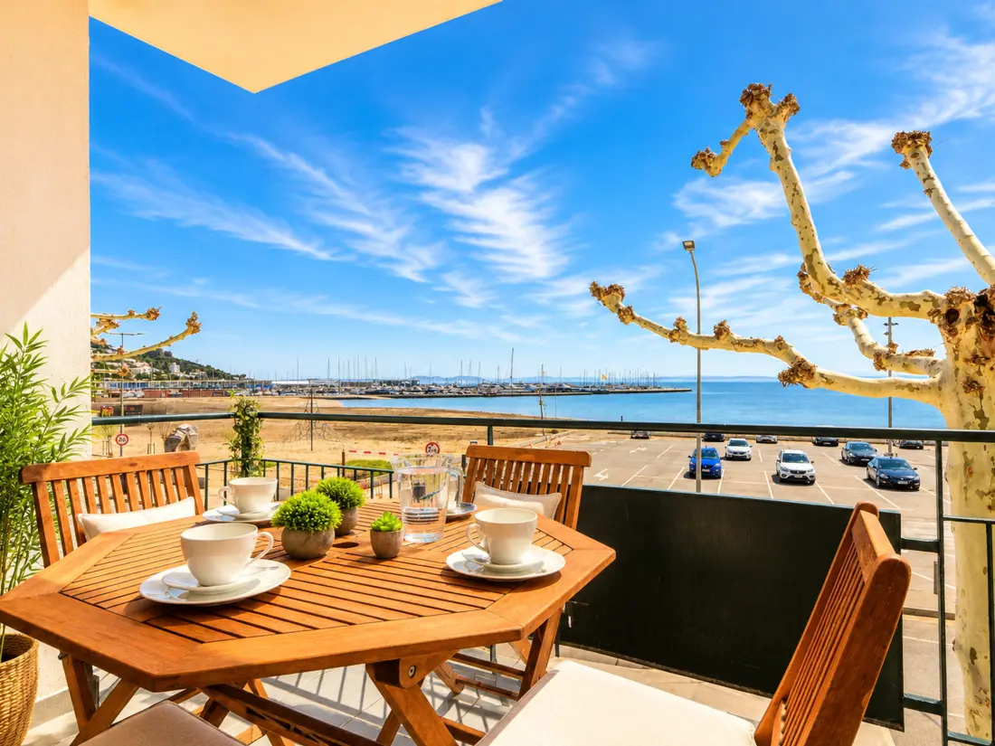 Location de Vacances Roses 1087
