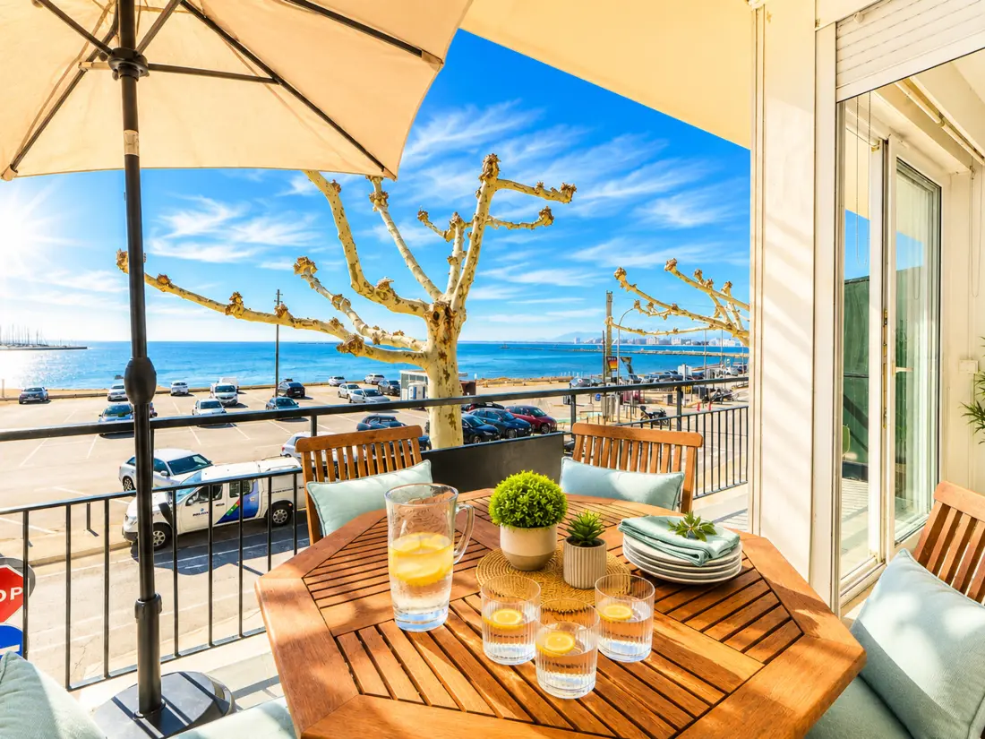 Location de Vacances Roses 1087