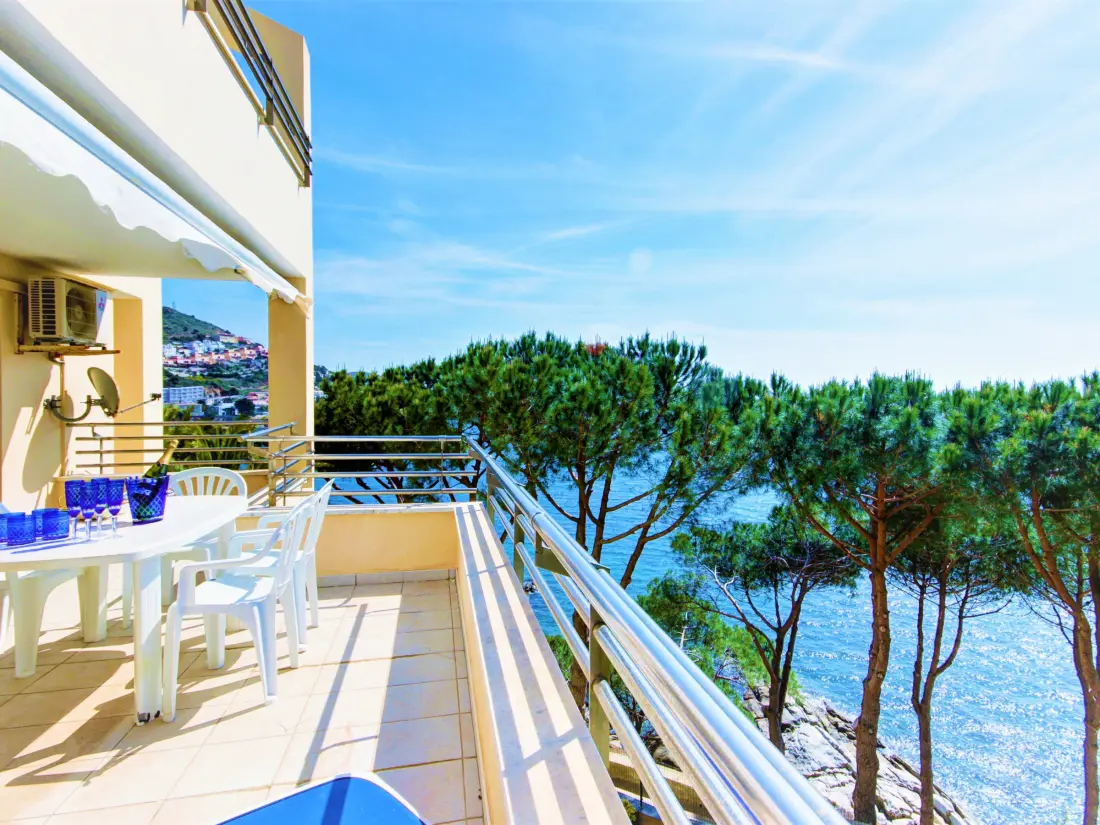 Location de Vacances Roses 1088