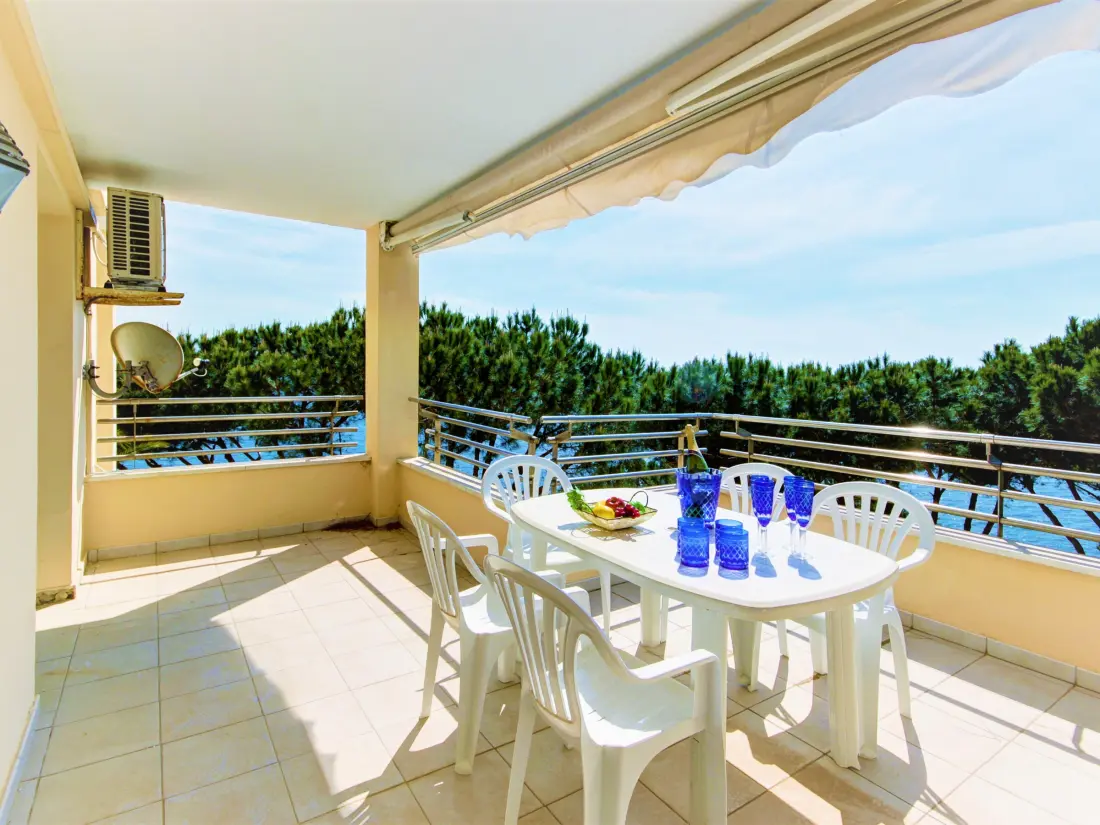 Location de Vacances Roses 1088