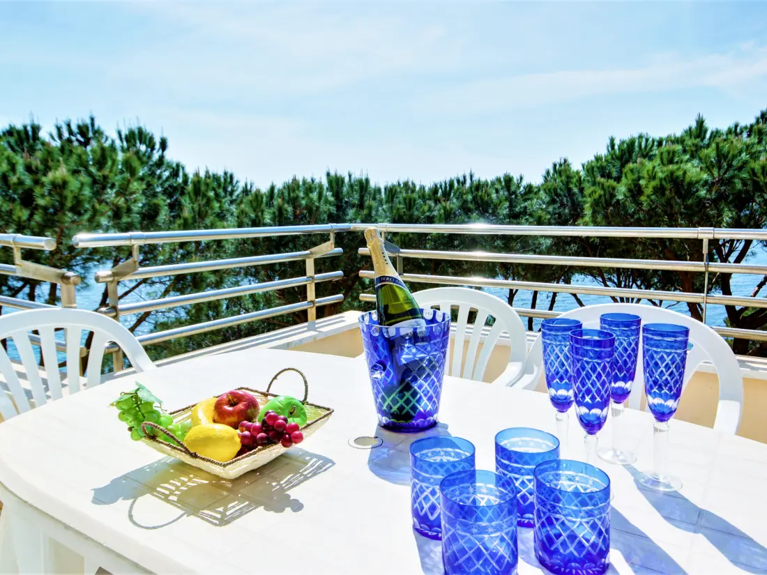 Location de Vacances Roses 1088