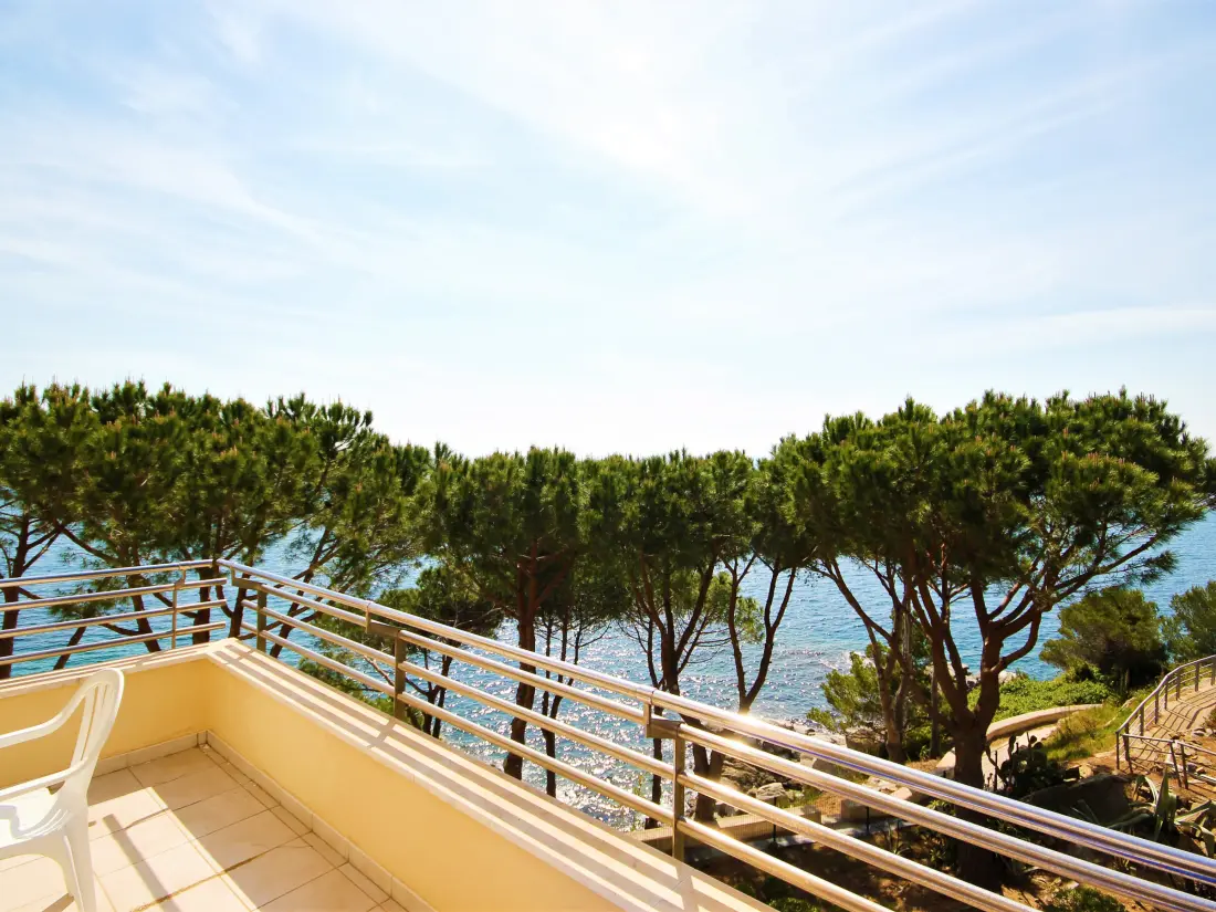 Location de Vacances Roses 1088