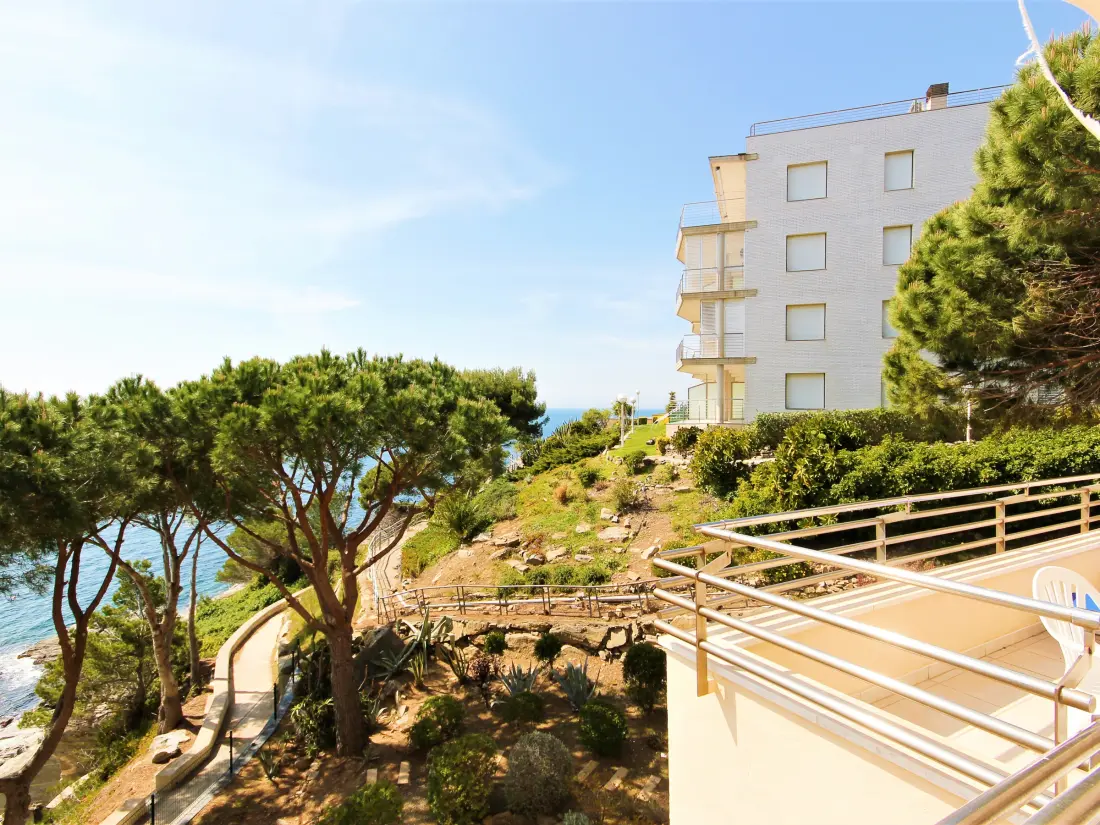 Location de Vacances Roses 1088