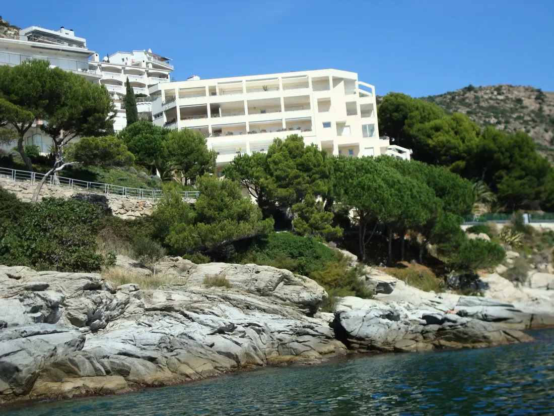 Location de Vacances Roses 1088