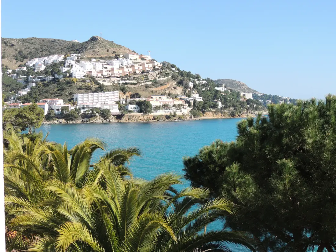 Location de Vacances Roses 1088