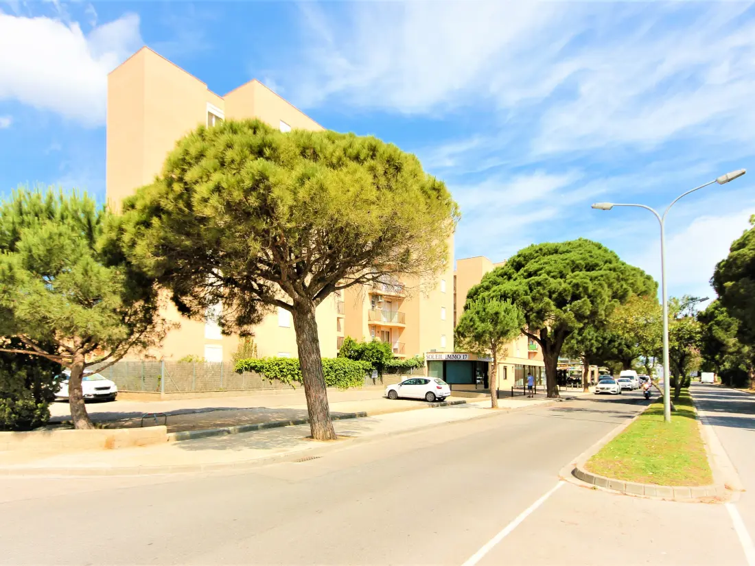 Location de Vacances Roses 1089