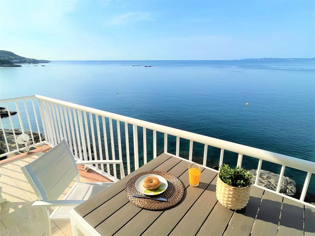 Location de Vacances Roses 1094
