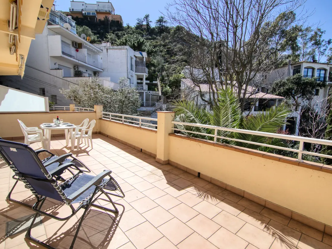 Location de Vacances Roses 1099