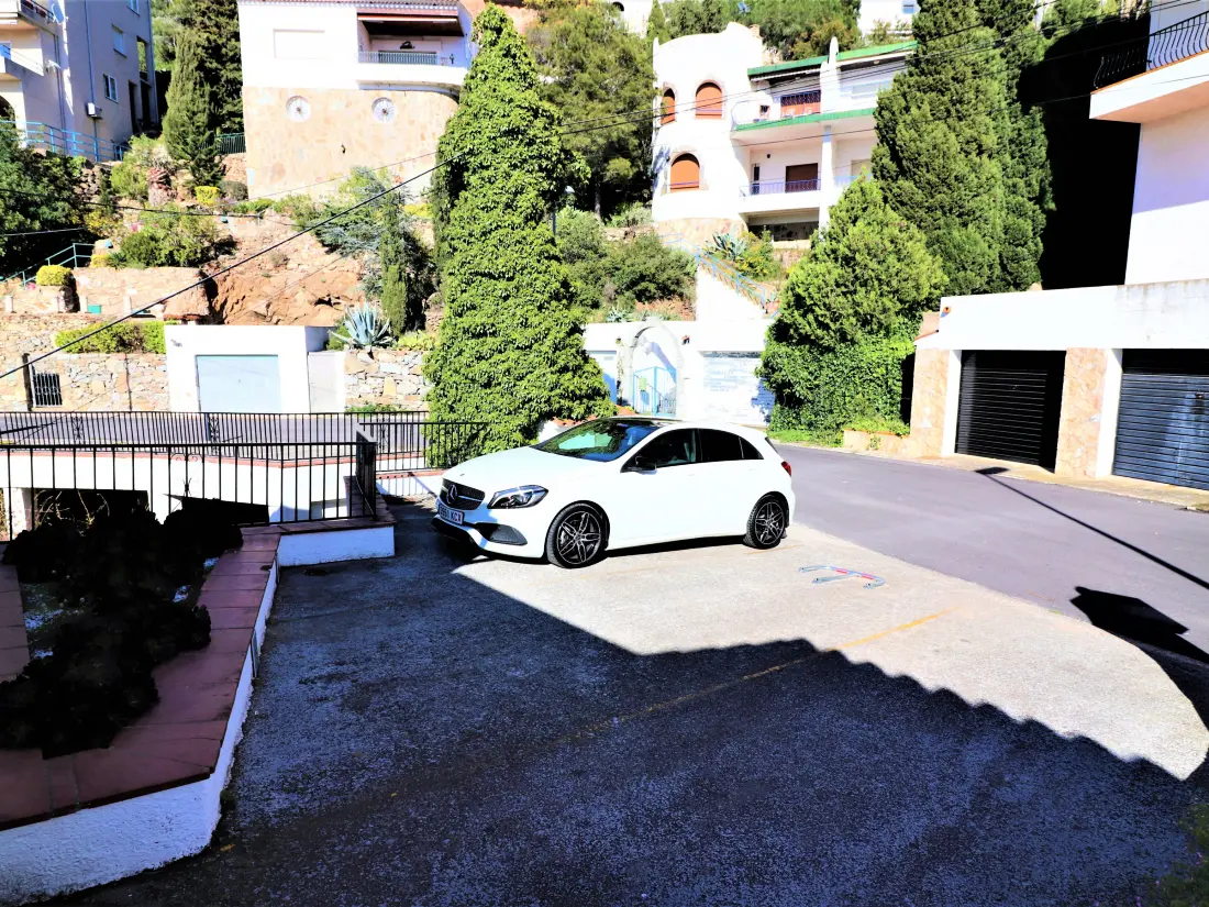 Location de Vacances Roses 1103