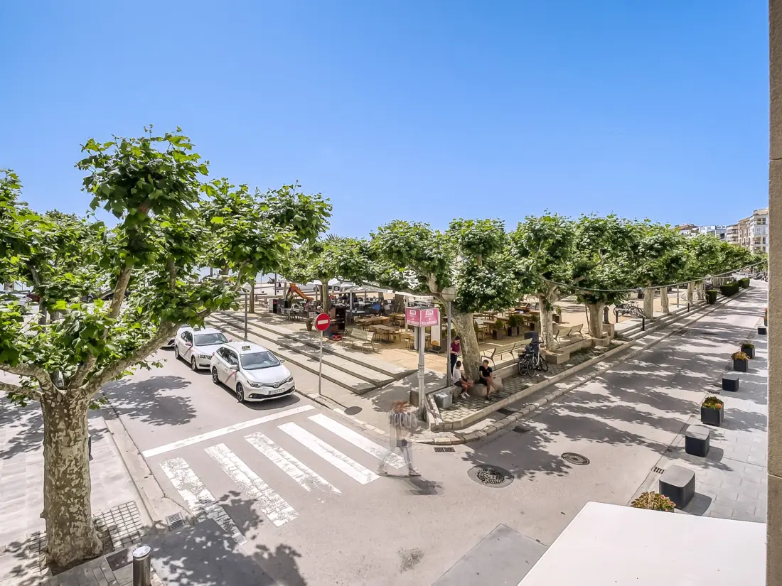 Location de Vacances Roses 1104