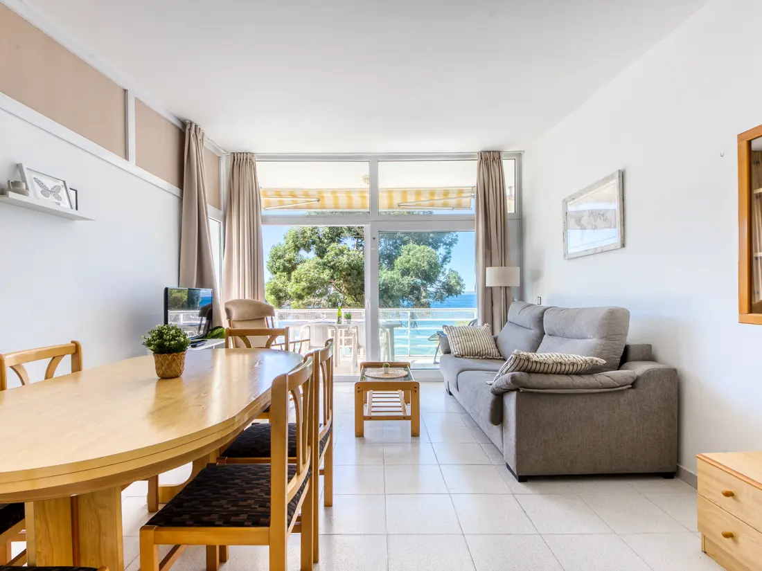 Location de Vacances Roses 1107