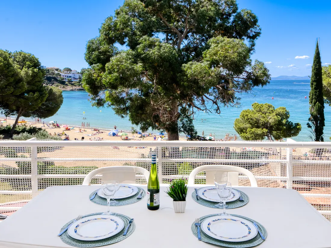 Location de Vacances Roses 1107