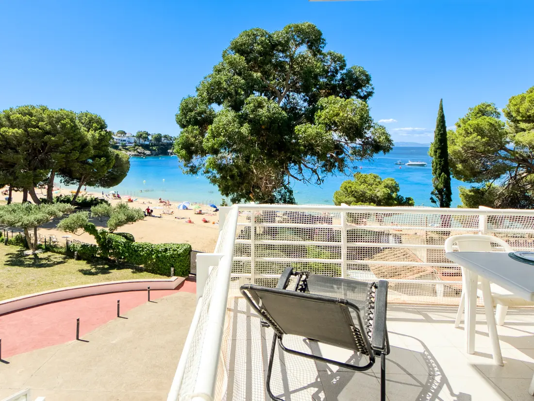 Location de Vacances Roses 1107