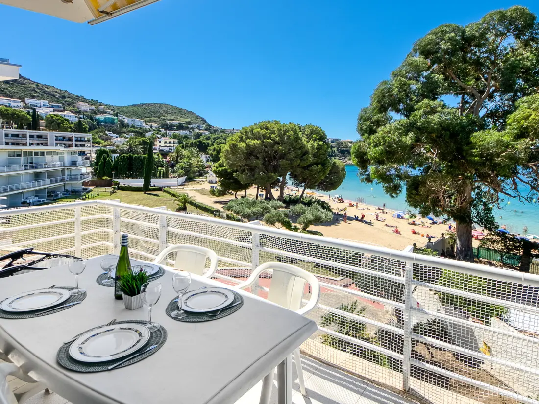 Location de Vacances Roses 1107