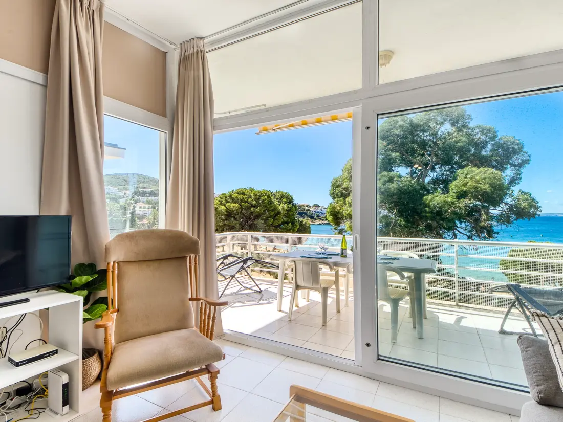 Location de Vacances Roses 1107