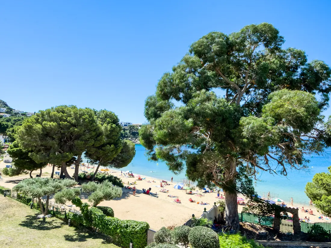 Location de Vacances Roses 1107