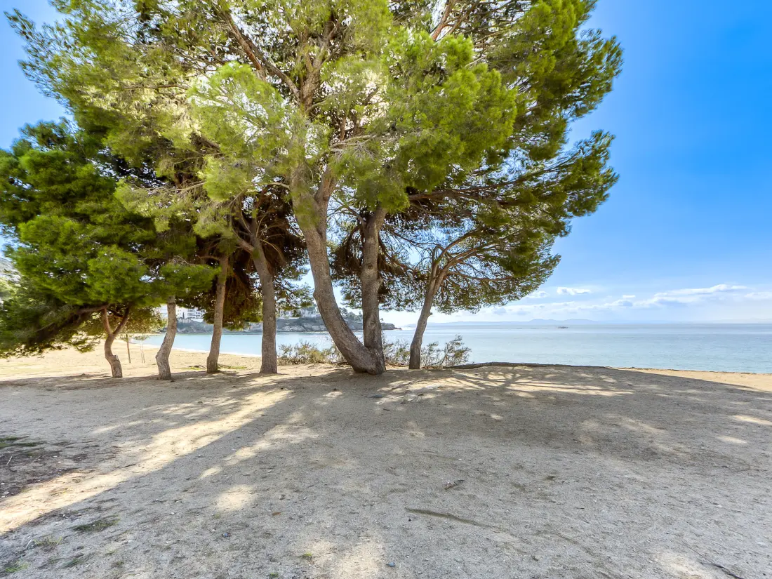 Location de Vacances Roses 1107