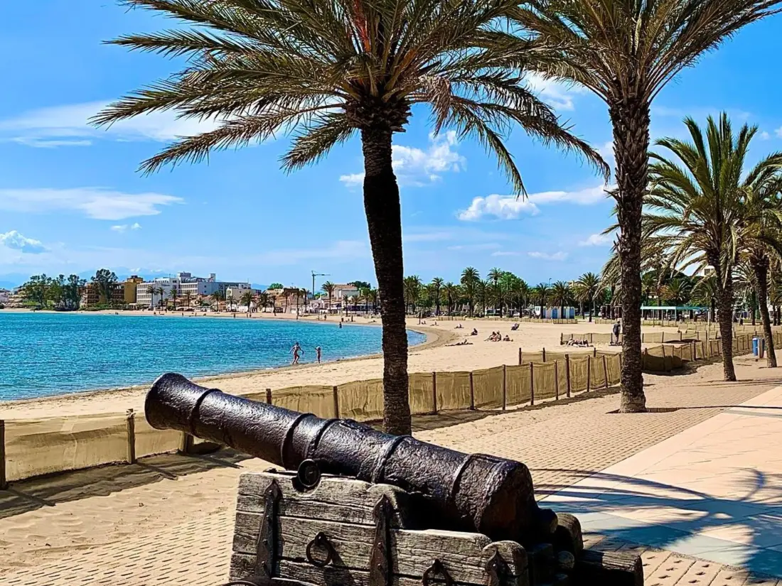Location de Vacances Roses 1107