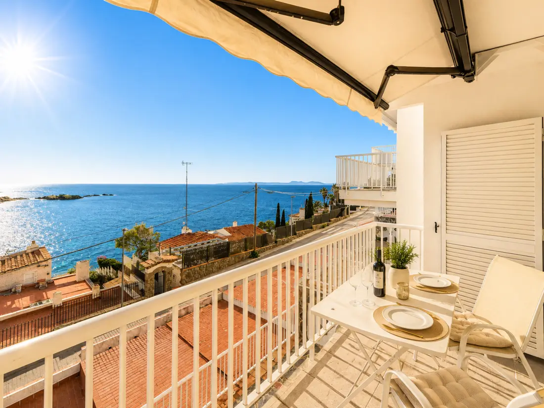 Location de Vacances Roses 1111