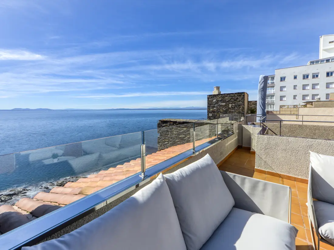 Location de Vacances Roses 1118