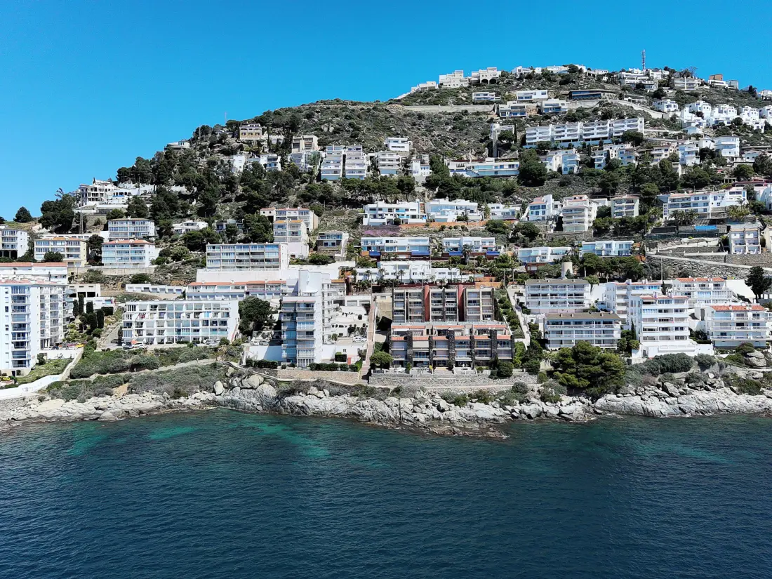 Location de Vacances Roses 1118