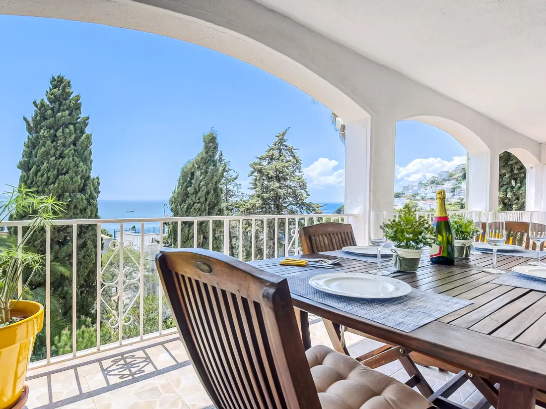 Location de Vacances Roses 1121