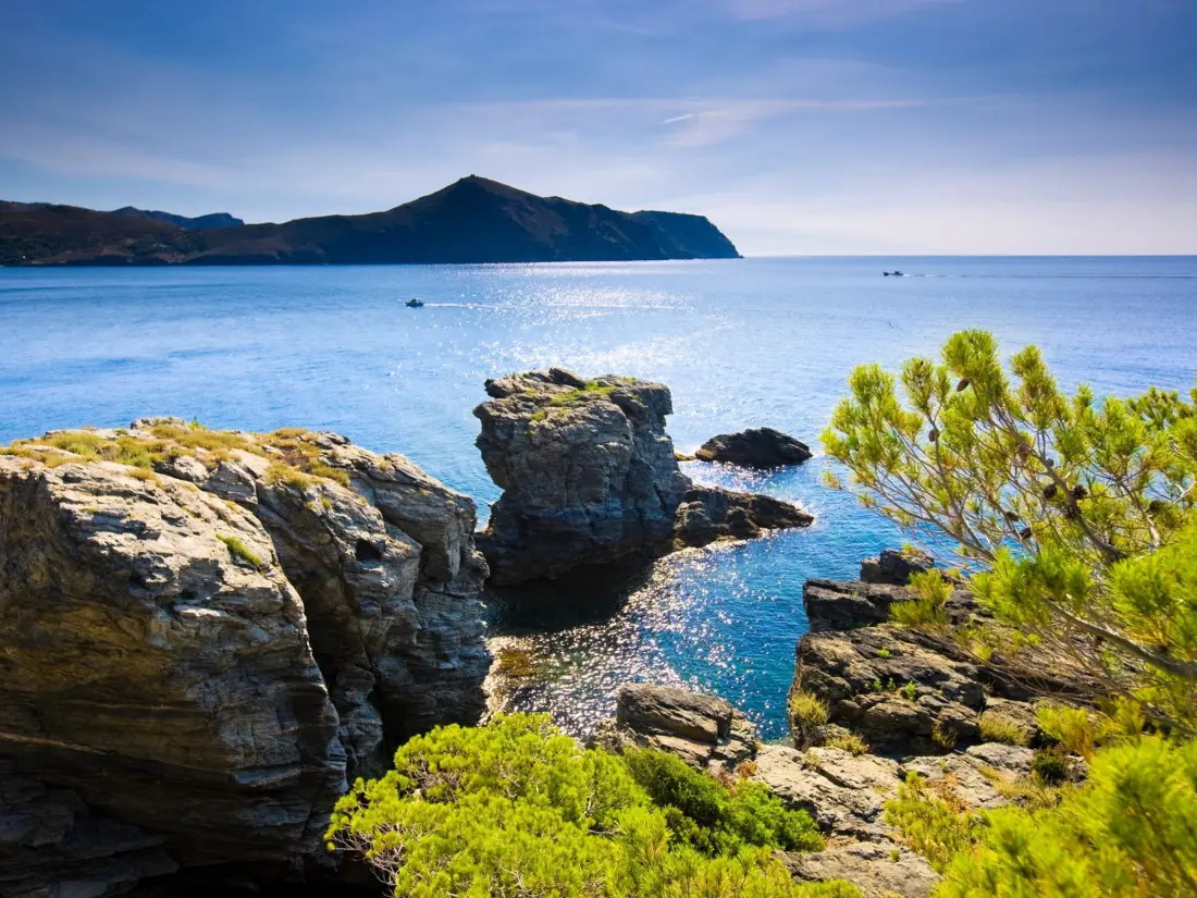 Location de Vacances Roses 1121