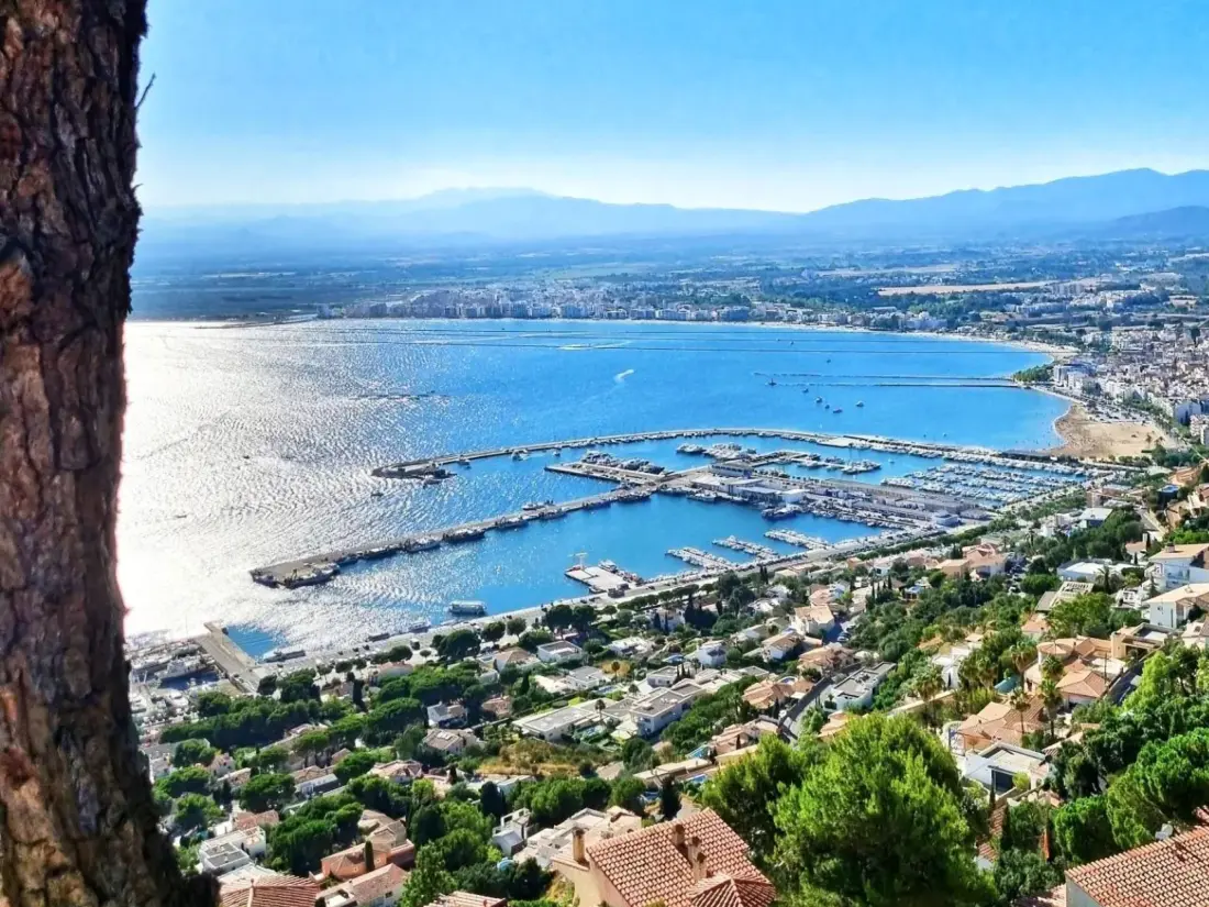 Location de Vacances Roses 1121